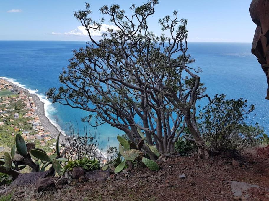 O Pomar - A Quiet Sunny Place With Amazing Sea Views Paul do Mar  Bagian luar foto